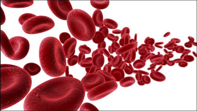 Human blood,The blood is red viscous connective tissue. it is opaque, sticky, viscous, bright red and slightly alkaline (PH 7.4) in nature.